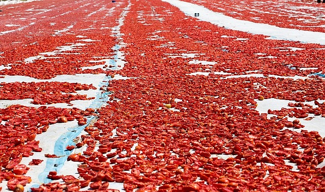 Meyve sebze mamulleri ihracatında aslan payı Ege Bölgesi’nin