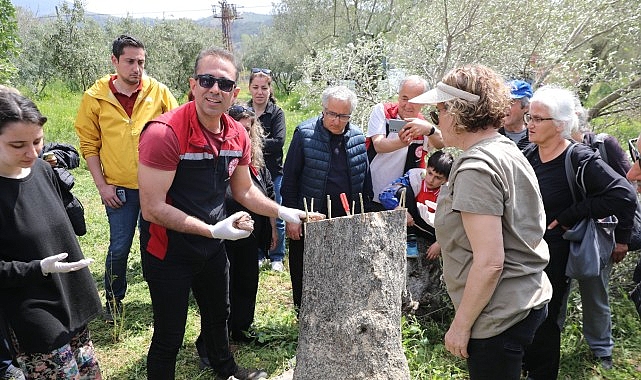 Seferihisar Belediyesi ve İlçe Tarım’dan Müdürlüğü’nden Uygulamalı Eğitim